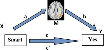 How Self-Appraisal Is Mediated by the Brain